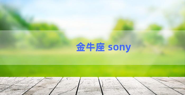 金牛座 sony